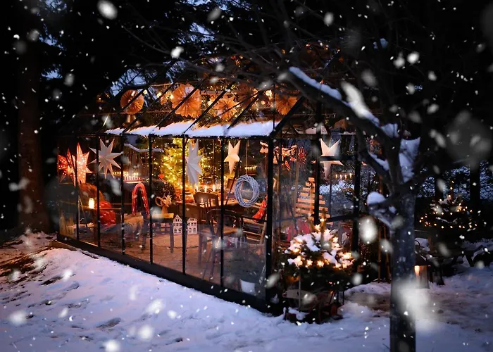 Iga Проживание в семье *