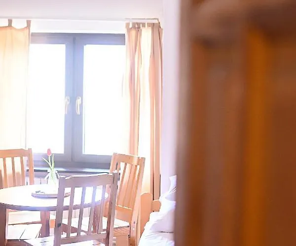 Проживание в семье Iga